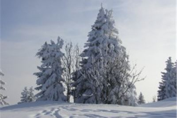 Schneeschuhwandern in der Rhön - Winterwunderland