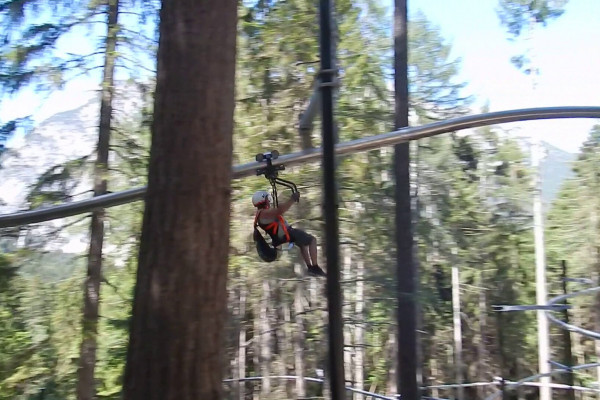 Flying Coster - neu