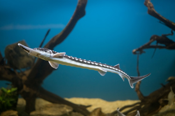 Aquarien ©Florian Kainz