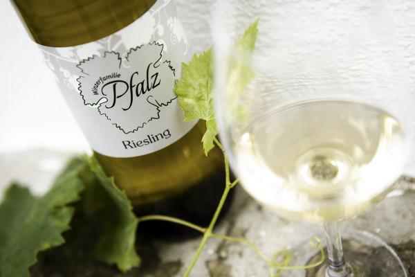 Winzerfamilie Pfalz Riesling Ried Steinberg