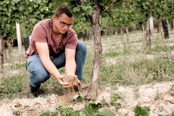 Weg zum Wein - Winzerfamilie Pfalz 2