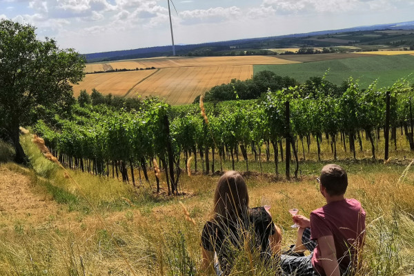 Picknick im Weingarten - Winzerfamilie Pfalz 1
