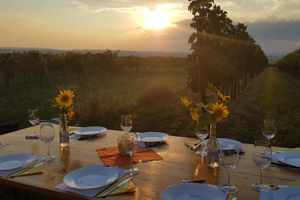 Winzerfamilie Pfalz - Sunset Tasting 3