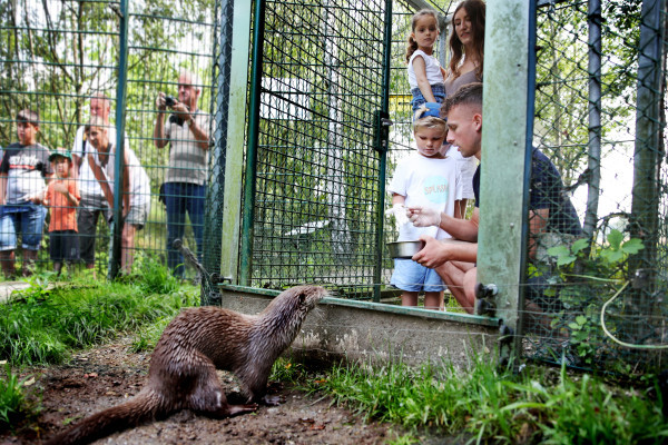 Otter Exklusivprogramm
© Waldviertel Tourismus/weinfranz
