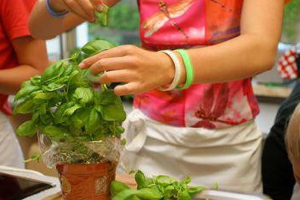 Gesund kochen in Otterfing - Wellness Kochkurs