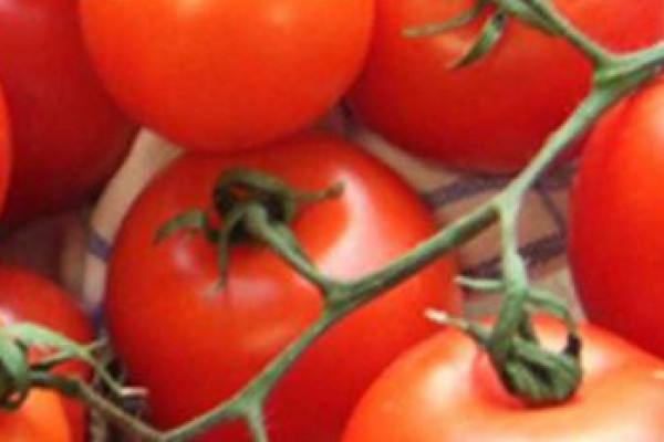 Kochen in Otterfing - Mediterraner Kochkurs