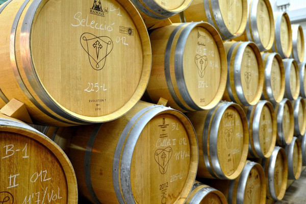 Weinfässer in der Bodega auf Mallorca