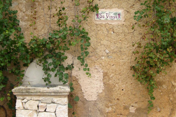 Eindrücke von der Finca