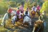 Balade à poney - en main