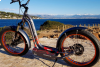 Location trottinettes électriques tout terrain