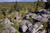Visite guidée thématique en forêt
