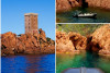 Excursion en mer - Calanques de l'Estérel