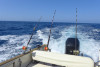 Sortie Pêche Côtière & familiale en bateau