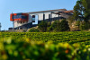 Château La Croizille St-Emilion Grand Cru Classé : Visite & Dégustation en Français