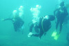 Formation au niveau 1 de plongée sous-marine en Corse