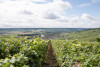Circuit découverte vigneron Champagne & déjeuner depuis Reims