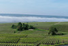 Champagne F-P ARNOULT Secrets of Champagne making  - EN