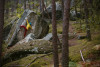 Initiation à l'escalade de bloc en forêt