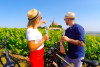 E-bike tours - Découvrez le vignoble de Champagne à vélo