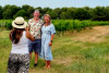 Excursion Sète - Demi Journée entre Huîtres & Vignoble