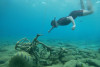 COURS DE SNORKELING