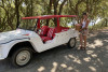 Tour privé : Excursion dans la région tropezienne en mehari ou 2CV