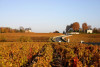Châteaux et terroirs, excursion viticole à la demi-journée