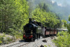Train des Pignes  -  Excursion en autocar