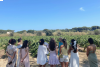 Votre EVJF/EVG dans les vignobles du Golfe de St-Tropez
