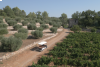 Découverte guidée du vignoble et de l'art en voiturette