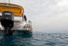 Excursion en bateau de plongée en apnée.