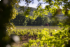 Côtes de Provence - Tour Privé