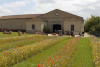 Auberge Collective 