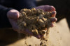 L'Instant Terroir