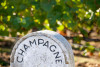 Balade, Visite & Dégustation à Vélo Électrique en Champagne