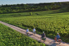Virée en Mobylette au cœur du vignoble