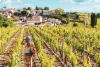 Excursion Grands Vins de Saint-Émilion & Pomerol