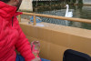 Dégustation au fil de l'eau