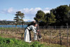 Excursion Saint Honorat: Ile de Lérins et estérel