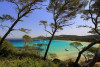 Iles de Porquerolles - Excursion en autocar