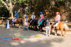 Petits nuages : Equitation pour enfants de 4 à 8 ans:
