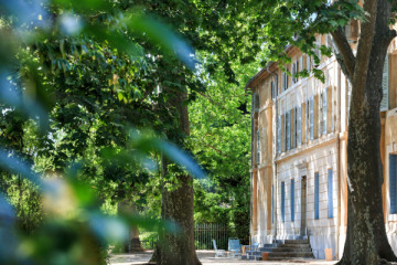Côtes de Provence - Demi-journée - Tour Privé