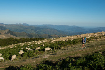 randonnées découvertes classe, classe de montagne, groupe, projet éducatif
