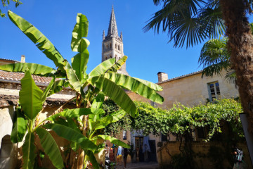 Demi-journée privée vers Saint-Emilion & son vignoble