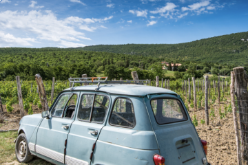 RALLYE DÉCOUVERTE ROUTE DES VINS D'ALSACE