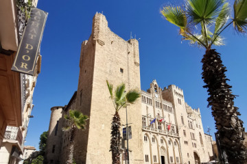 Visite guidée de Narbonne (1-15 pers tour privé)