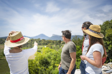 Excursion demi-journée au Pic Saint Loup de Montpellier
