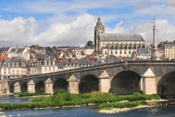 Blois : Visite guidée privée du château avec billets