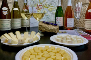 Dégustation accords vins et fromages à Chablis
