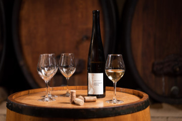 Le vigneron vous raconte. Les vins vous parlent.
